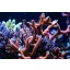  Montipora digitata - Újjas - piros